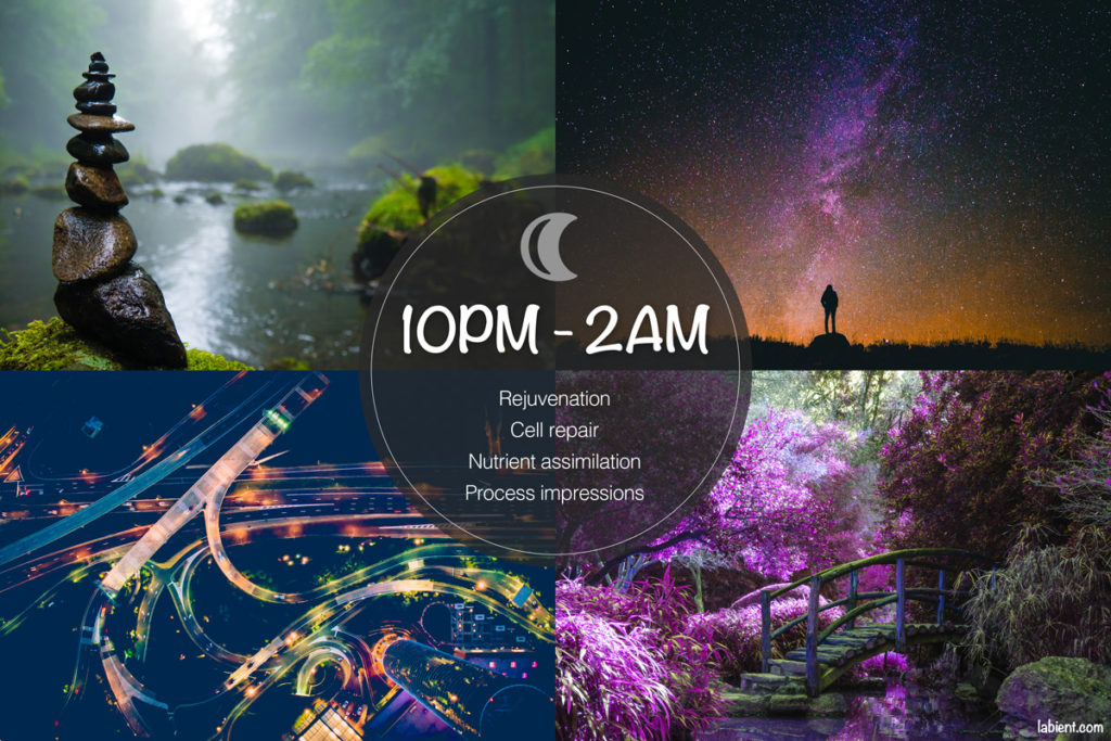 Sync your daily routine with your internal body clock: best activities for midnight from 10PM to 2AM