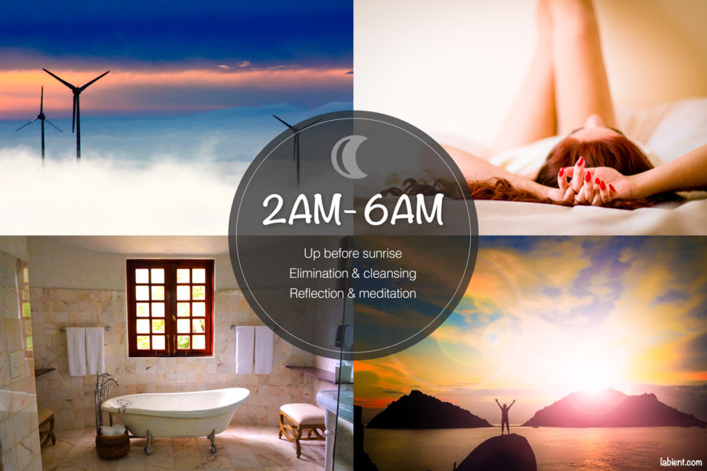 Sync your daily routine with your internal body clock: best activities for early morning from 2AM to 6AM